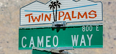 Twin Palms